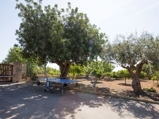 Chalet Santanyi Buitenaudio-opname 12