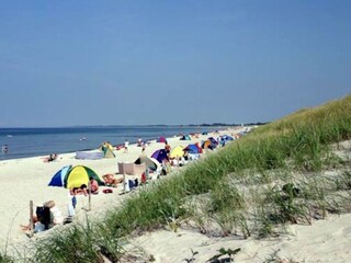 Am Strand