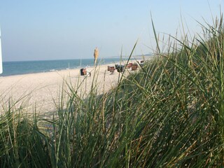 Am Strand