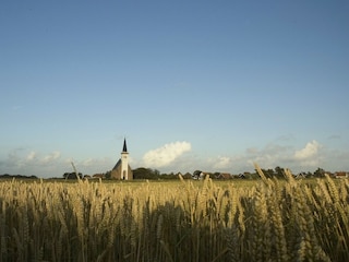 Vakantiehuis Den Hoorn Omgeving 20