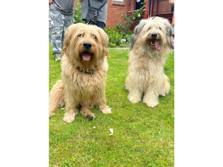 Erwin und Tilda im Garten