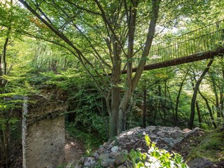 Holiday apartment Kaltern Environment 19