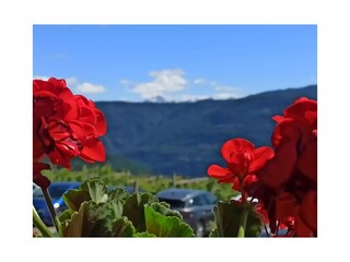 Appartamento per vacanze Kaltern Registrazione all'aperto 10
