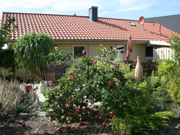 Ferienhaus Traumhütte