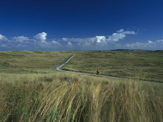 Casa per le vacanze Julianadorp Ambiente 17