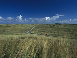 Maison de vacances Julianadorp Environnement 17