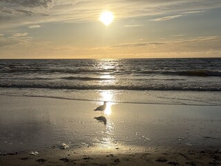 Casa per le vacanze Julianadorp Ambiente 24