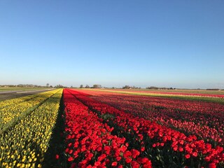 Casa per le vacanze Julianadorp Ambiente 22