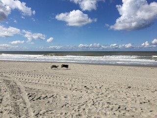 Casa de vacaciones Julianadorp Entorno 19