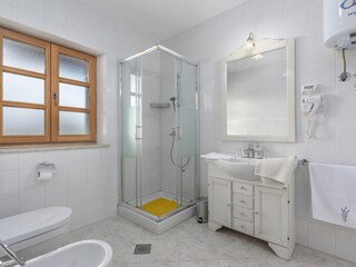 Villa Tinjan Caratteristiche 18