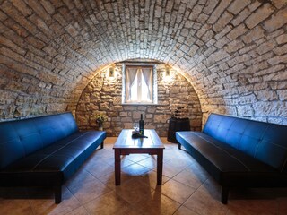 Villa Tinjan Caratteristiche 19