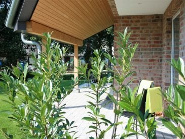 Ferienhaus Küstenhaus Nordsee