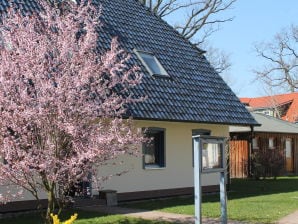 Buchentraum 1/4 im Ostseebad Prerow