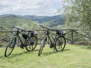 Appartement de vacances Bucine Enregistrement extérieur 9