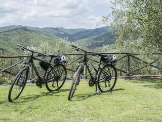 Vakantieappartement Bucine Buitenaudio-opname 9