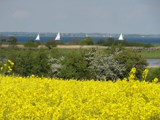 Radtour im Mai