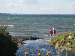 Wasser, Muscheln, Steine, Sand...