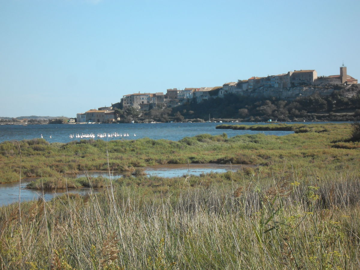 ein Blick auf den Etang von Bages mit Flamingos