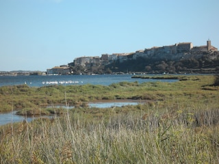 ein Blick auf den Etang von Bages mit Flamingos