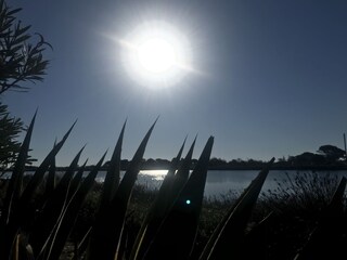 Casa per le vacanze Gruissan Registrazione all'aperto 11