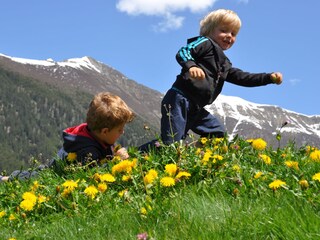 Appartamento per vacanze Umhausen  12