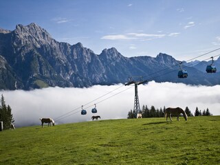 Wanderregion Leogang