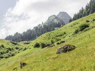 Ferienwohnung Leogang Umgebung 14