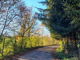 Ein Spaziergang durch das Dorf