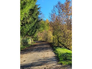 Bei uns gibt es schöne Wanderwege, Wald und Natur