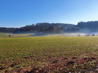 Herbstspaziergang