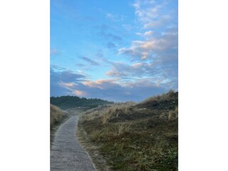 Ferienhaus Nebel Umgebung 50