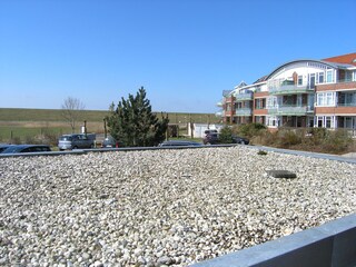 Blick von der Terasse zum Deich