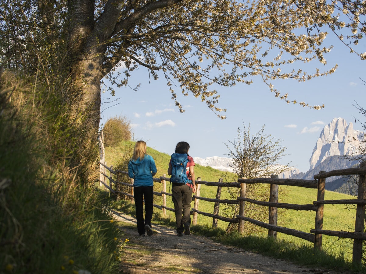 Wandern in Lajen