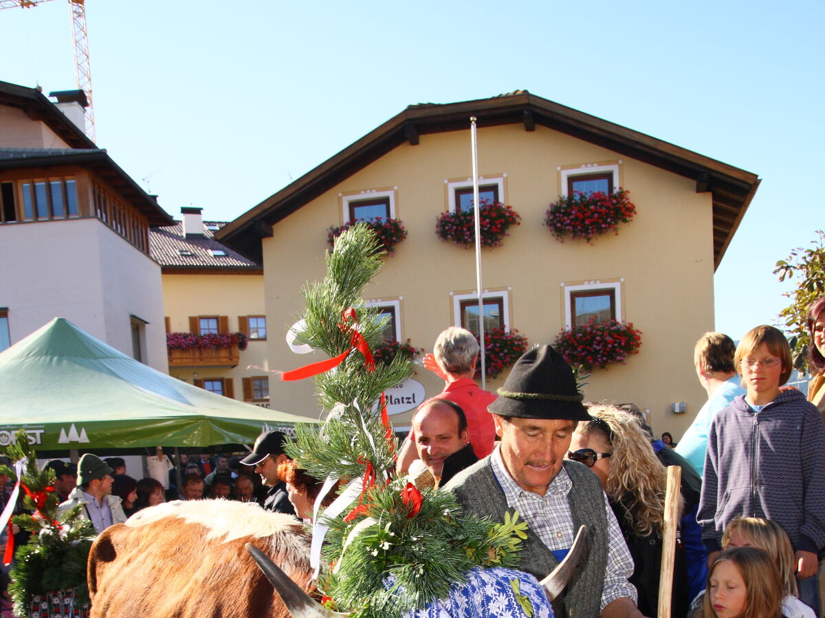 Almabtrieb in Lajen