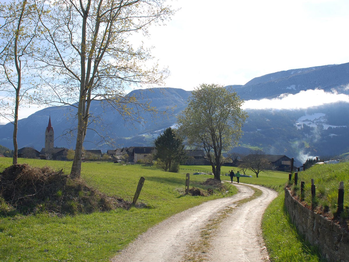 Wanderweg in Albions/Lajen