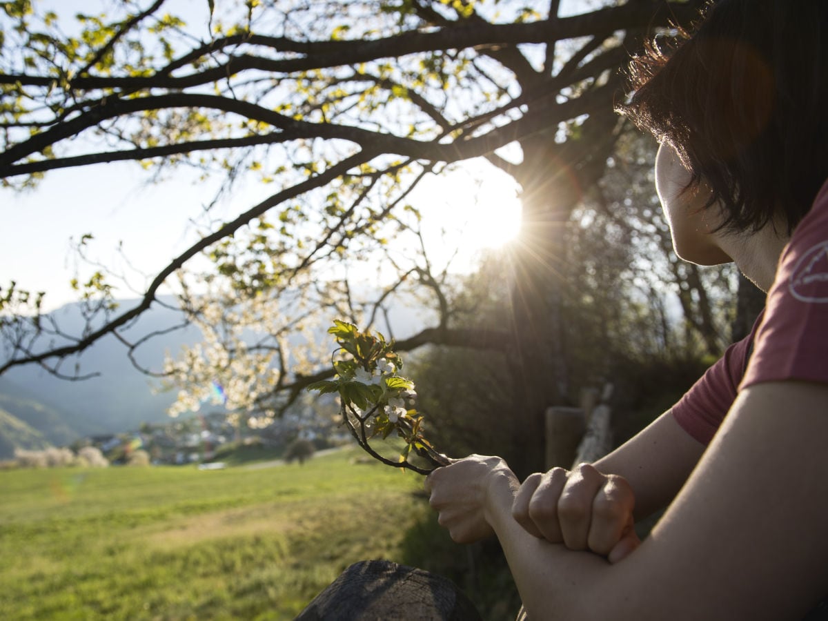 Frühling in Lajen - Südtirol