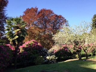 Villa Vignone Ambiente 19