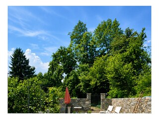 Villa Vignone Swimming Pool 34