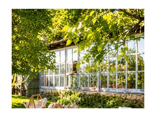 Villa Vignone Environment 9
