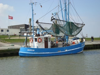Kutterhafen von Dorum bei Cuxhaven