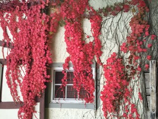 Casa per le vacanze Unsleben Registrazione all'aperto 5