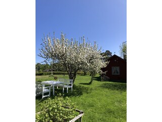 Sitzecke im großen Garten