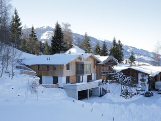 Chalet Schladming Buitenaudio-opname 7