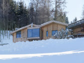 Chalet Schladming Buitenaudio-opname 1