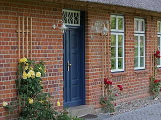 Blühende Rosen