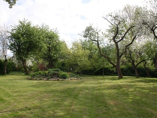 Der große Garten mit Obstbäumen