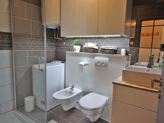 Appartamento per vacanze Fažana Caratteristiche 16