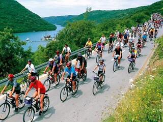 Casa per le vacanze Tinjan Ambiente 40