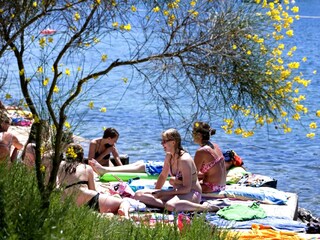 Casa per le vacanze Porec Ambiente 23