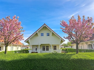 Vakantieappartement Oostkapelle Kenmerken 9